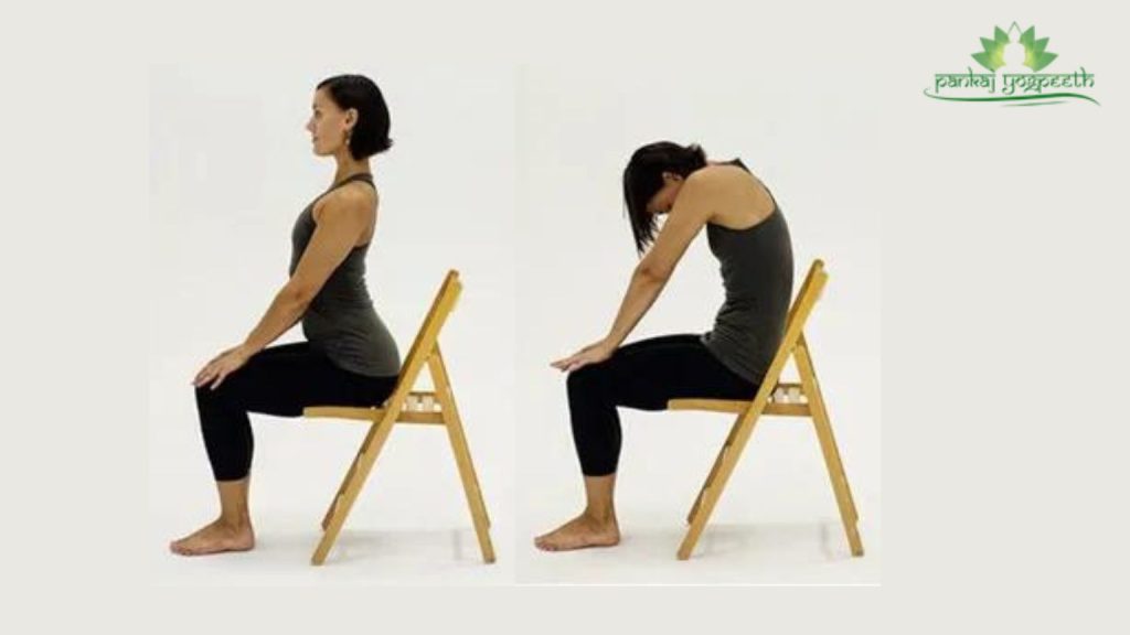 Seated Cat-Cow Stretch