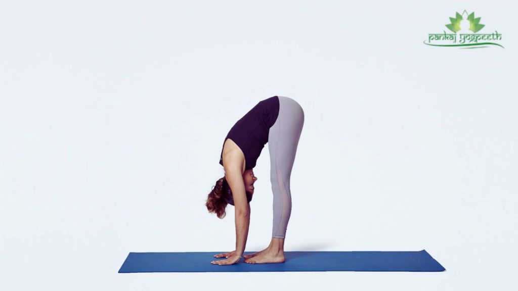 Forward Fold