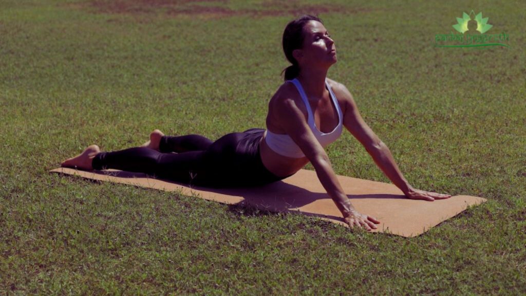 Yoga for Beginners