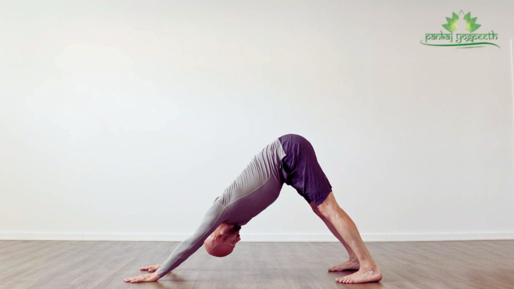 Downward Facing Dog