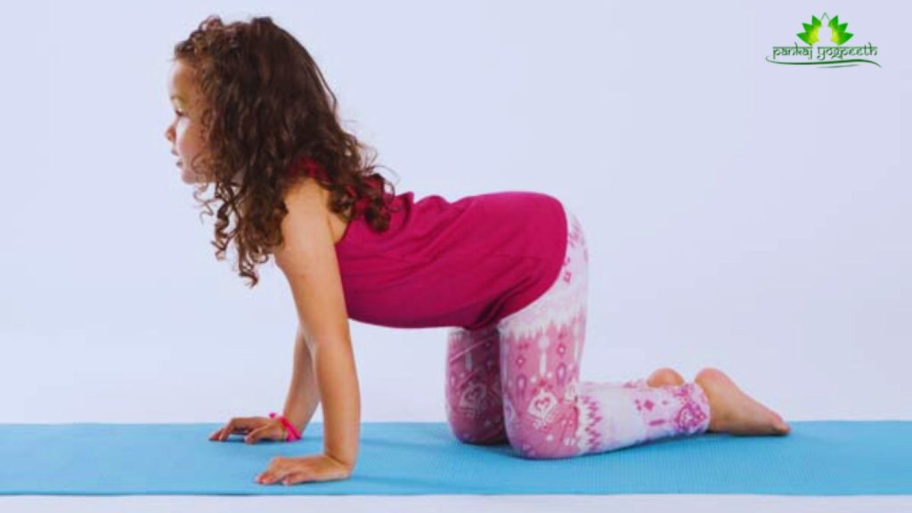 Cat-Cow Pose (Marjaryasana-Bitilasana)
