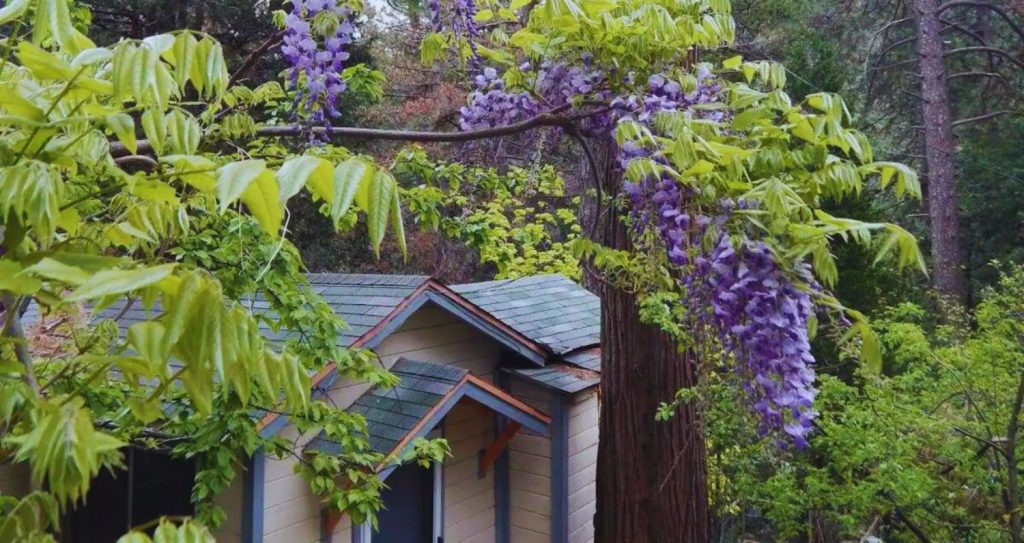 Mystical Mountain Retreat: Yoga Retreat in Nepal
