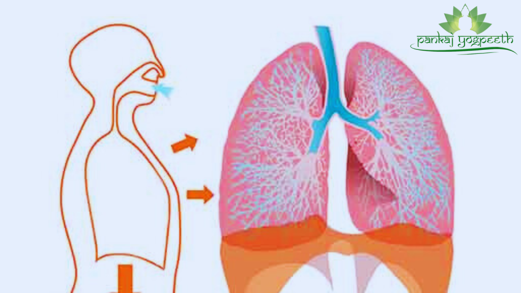 Yoga For Lungs Health