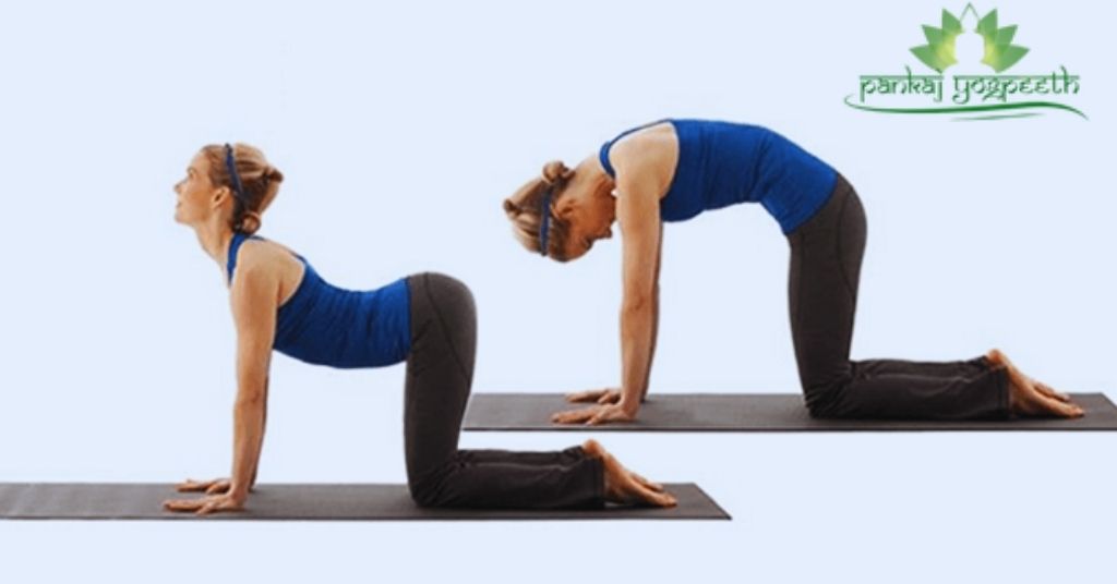 Cat-Cow Stretch (Marjaryasana-Bitilasana)