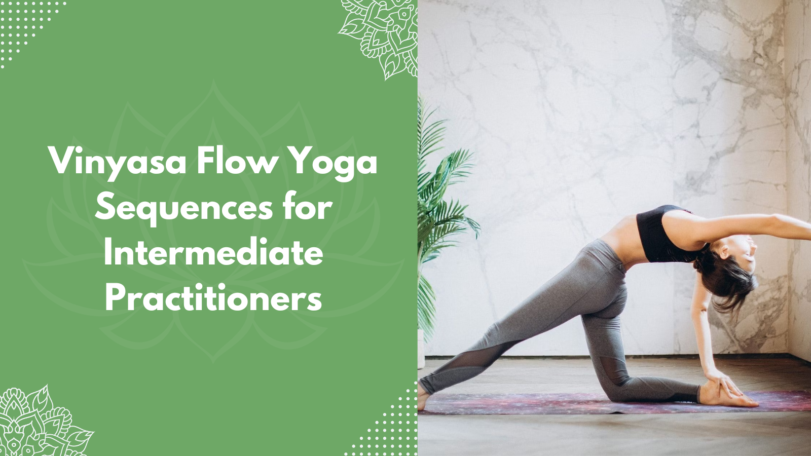 Vinyasa Flow Yoga Sequences