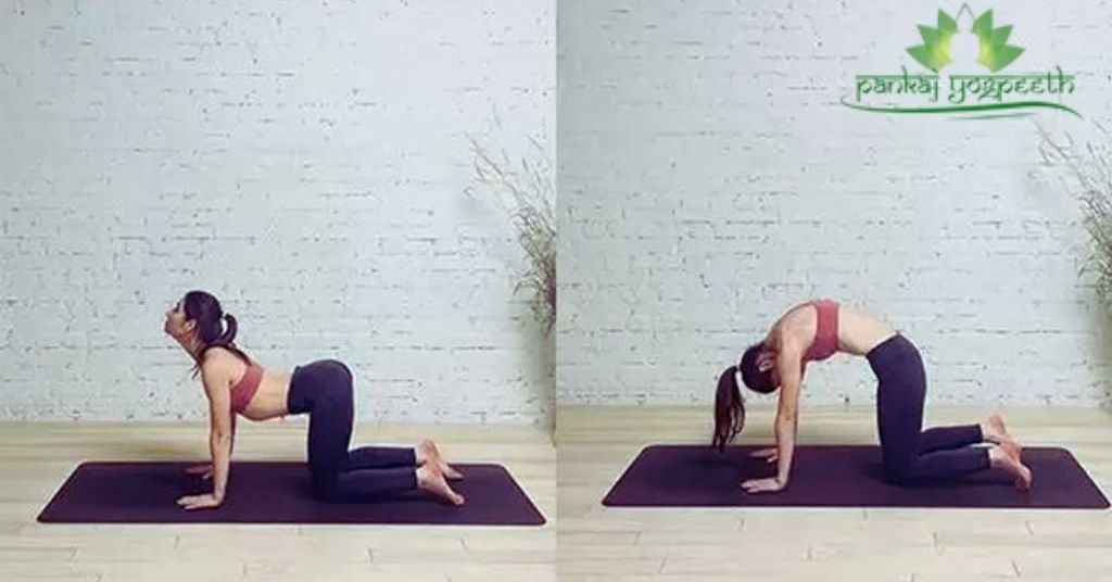 Cat-Cow Pose (Marjaryasana-Bitilasana):