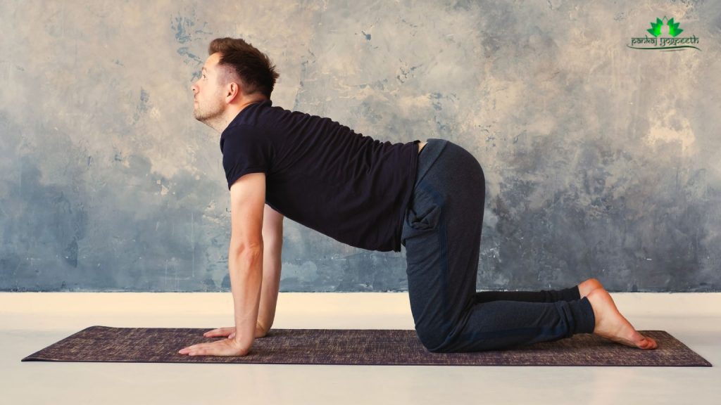 Yoga for Migraine Relief