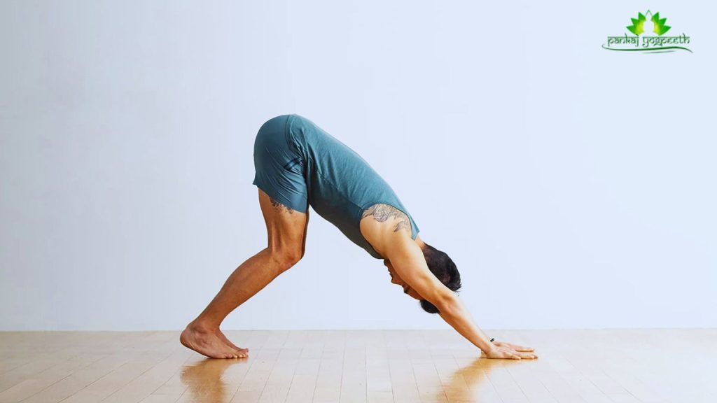 Downward Dog Pose (Adho Mukha Svanasana): Yoga for Healthy Skin