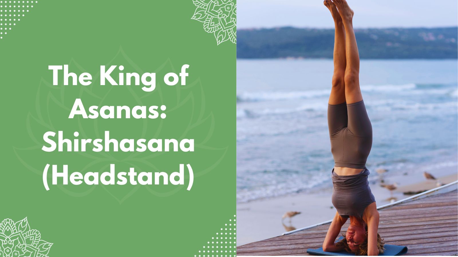 The King of Asanas: Shirshasana (Headstand)
