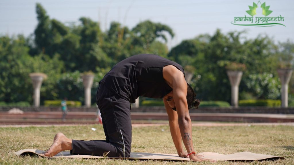 Cat-Cow Pose (Yoga For Joint Pain)