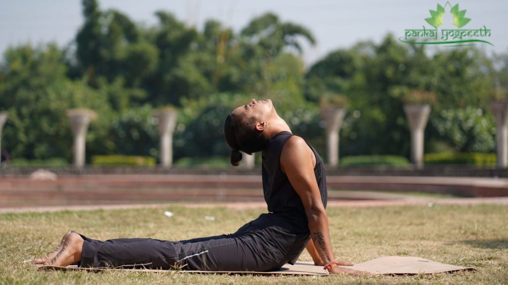 Cobra Pose (Yoga For Joint Pain)