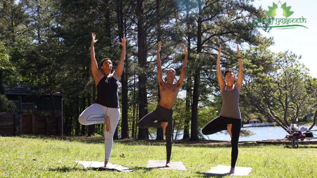 Tree Pose