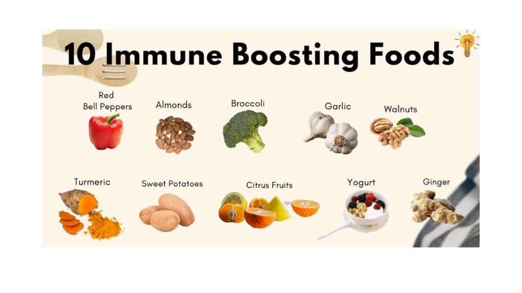 Understanding the Immune System