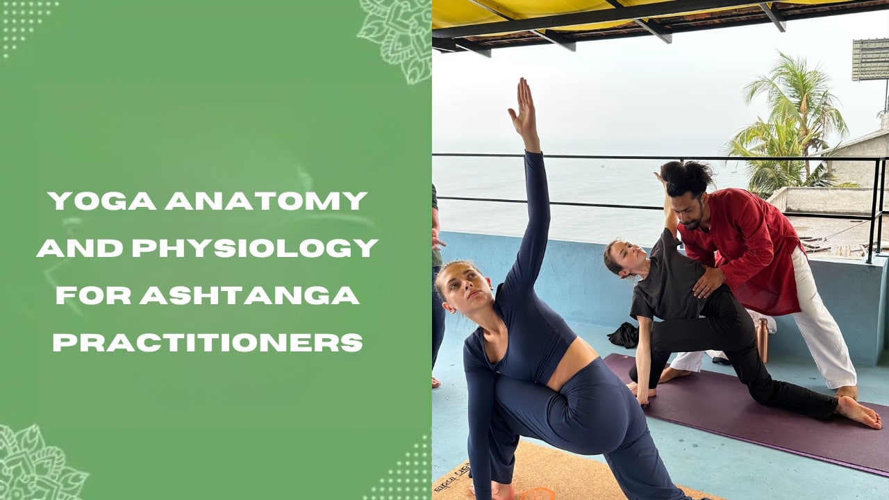 Yoga Anatomy and Physiology for Ashtanga Practitioners