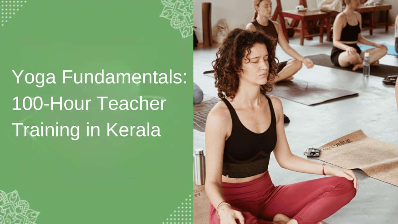 Yoga Fundamentals 100-Hour Teacher Training in Kerala