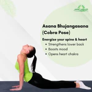 Cobra pose
